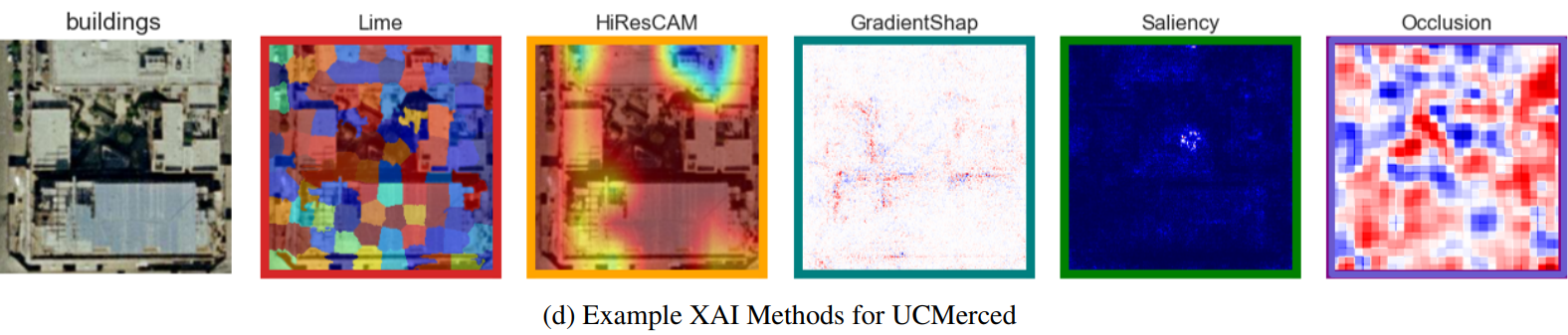 XAI Visualization
